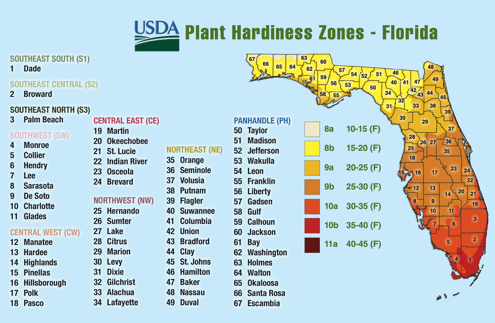 Plant Zones Map Florida - Alysia Margeaux
